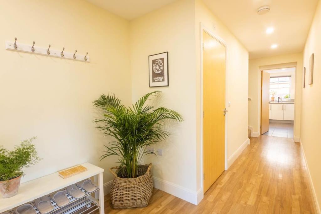 The Wellness Lodge- Gym, Table Tennis, Cinema, Parking And More! Bath Exterior foto